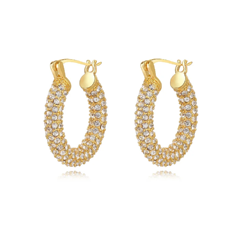 Earrings Pair Ideas-Annabelle Hoop