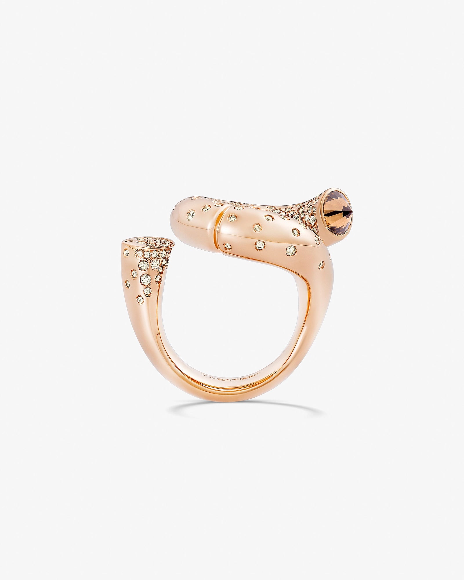 Best Modern Rings-Oera ring