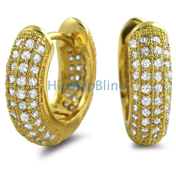 Earrings For Folk Looks-Rounded Hoop Earrings Gold CZ Micro Pave Bling