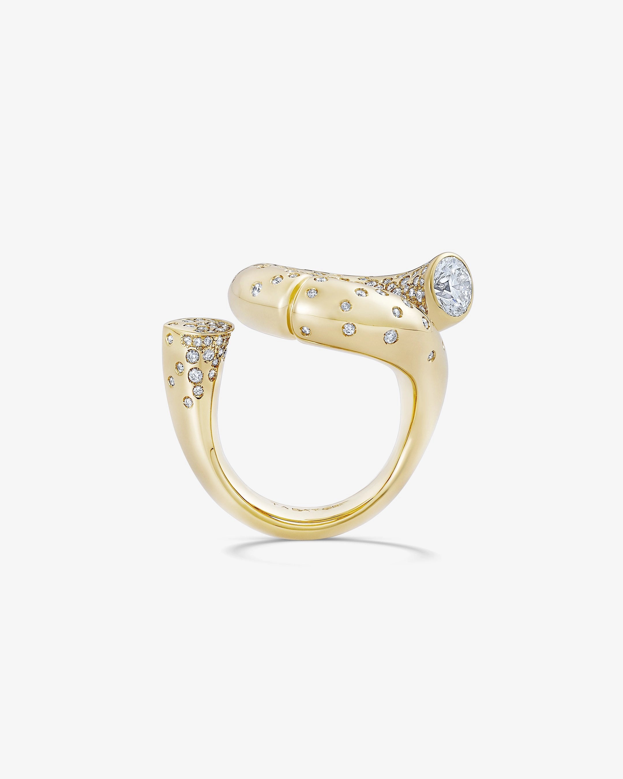 Best Hushed Rings-Oera ring